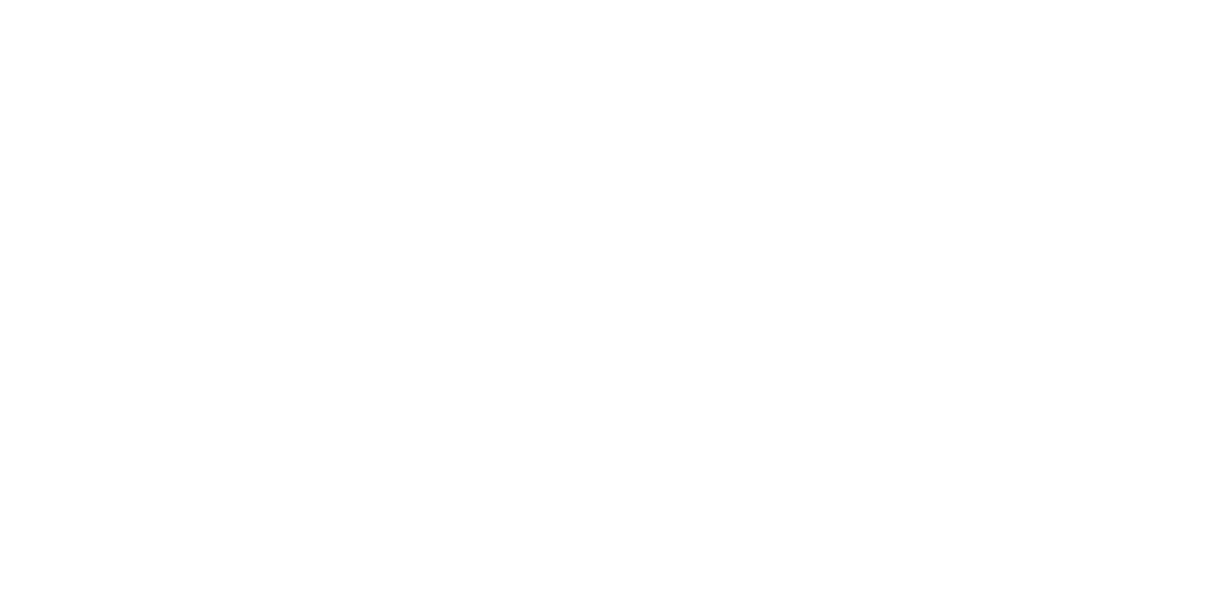 Next Humanity Org Logo